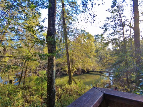 A serene view of a winding river surrounded by lush trees and greenery under a clear blue sky.