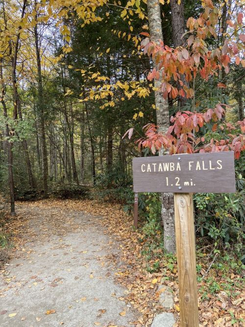 A wooden sign marks the trail to Catawba Falls, indicating it's 1.2 miles ahead, surrounded by autumn foliage.