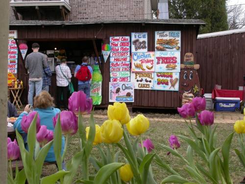 A food stand with colorful signs and a menu, surrounded by blooming tulips in the foreground. People are in line.
