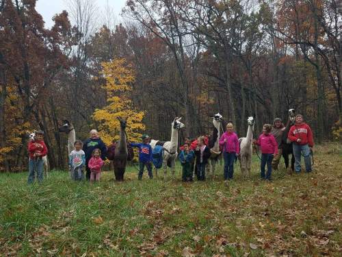 A group of children and adults stand with llamas in a forested area during autumn, surrounded by colorful leaves.