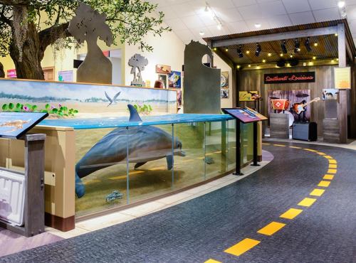 Exhibit featuring a dolphin display, interactive panels, and a nature-themed environment in a museum setting.