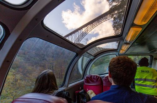 Passengers view a bridge through a train's panoramic window, surrounded by autumn foliage and a cloudy sky.
