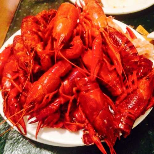 A plate piled high with bright red cooked crawfish, ready to be served.