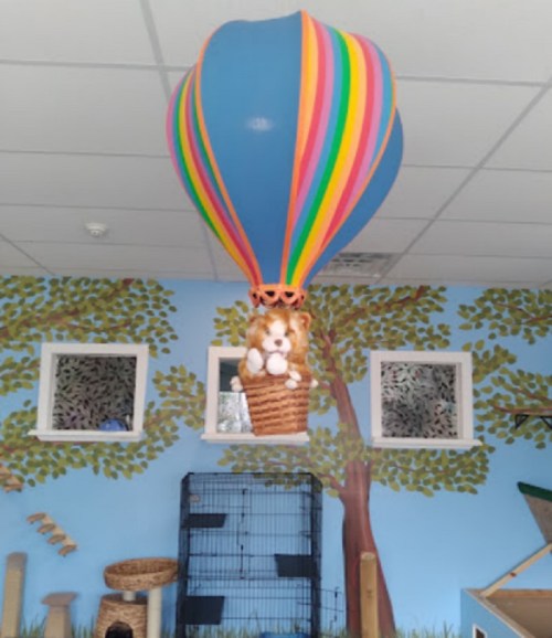 A colorful hot air balloon decoration with a stuffed animal in a basket, set against a playful wall mural.
