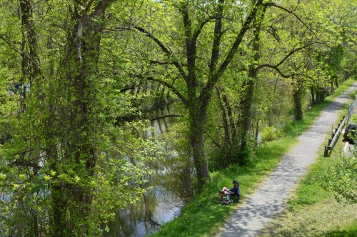 A peaceful scene of a person sitting by a lush green canal, surrounded by trees and a walking path.