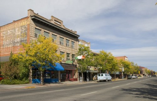 A street view of a historic downtown area with trees, shops, and a blue building under a cloudy sky.