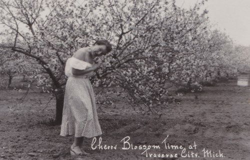 A woman in a polka dot dress stands among blooming cherry trees, smiling in a vintage photo labeled "Cherry Blossom Time."