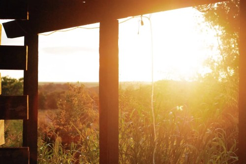 Sunlight streaming through a wooden frame, illuminating tall grass and a distant landscape at sunset.