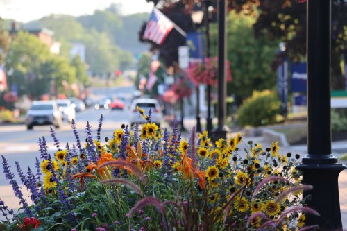 Colorful flowers in a planter line a street with flags and trees in the background, creating a vibrant, welcoming scene.