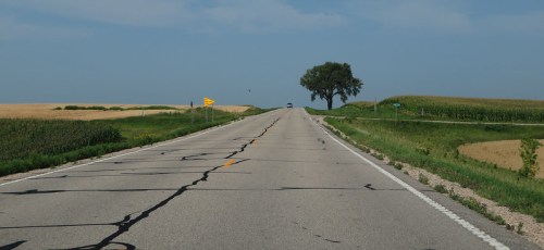 A long, cracked road stretches into the distance, flanked by fields and a solitary tree on the horizon under a blue sky.