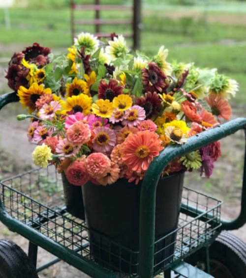 A vibrant bouquet of colorful flowers in a black bucket on a green cart, set against a blurred outdoor background.
