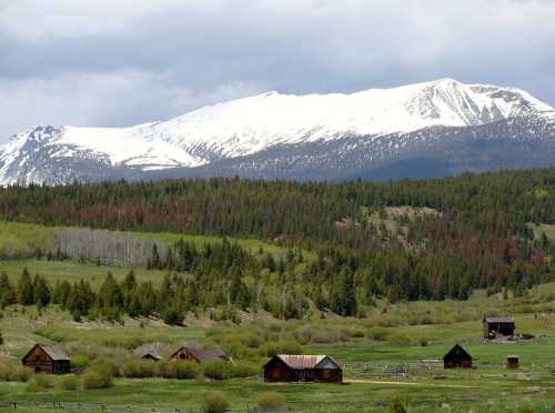 A scenic landscape featuring snow-capped mountains, green fields, and rustic wooden cabins under a cloudy sky.