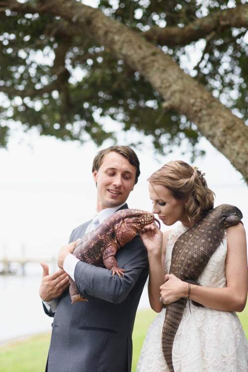 A couple in formal attire holds large lizards while posing outdoors near a tree.