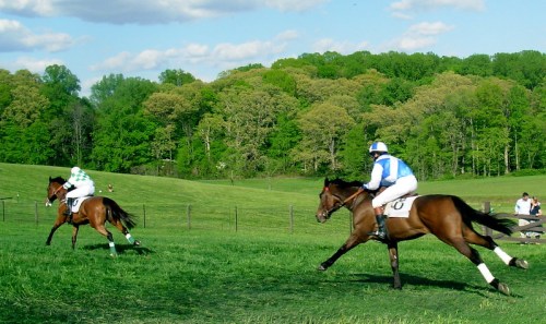Two jockeys race on horseback across a green field, with trees and a blue sky in the background.