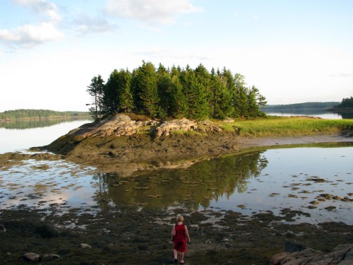 A person in a red dress stands on a rocky shore, gazing at a small island surrounded by calm water and trees.