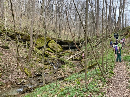 A group of hikers explores a wooded area with moss-covered rocks and a small stream. Trees line the path.