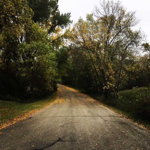 A winding road surrounded by trees with autumn foliage, leading into a serene, wooded area.