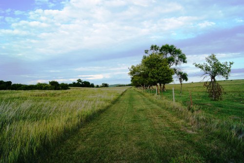 A grassy path lined with trees stretches through a serene landscape under a partly cloudy sky.
