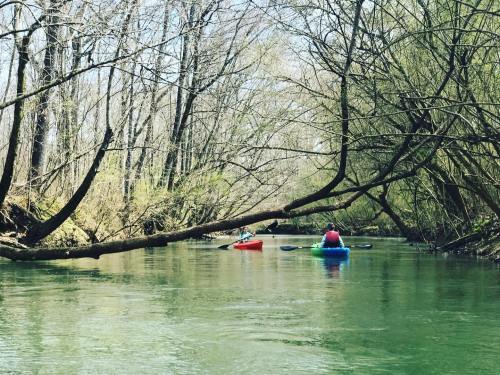 Two kayakers paddle through a serene, tree-lined waterway on a sunny day.