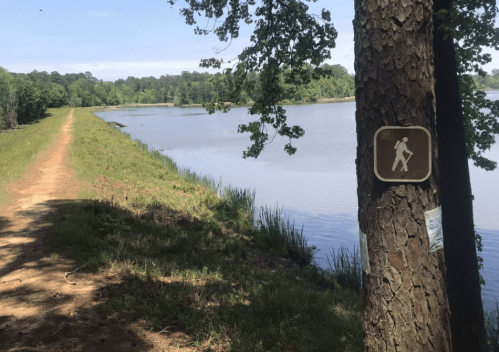 A hiking trail alongside a calm lake, marked by a sign on a tree. Lush greenery surrounds the path.