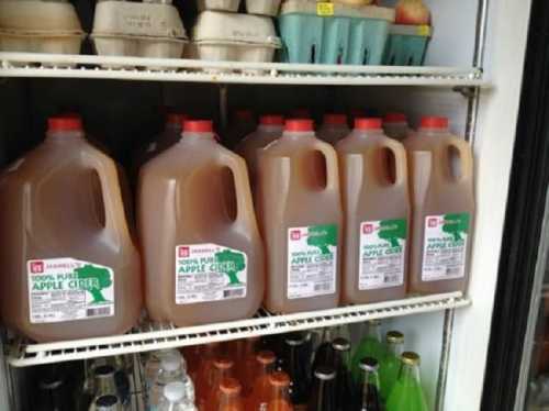 Several jugs of 100% pure apple cider on a refrigerator shelf, with various other beverages in the background.