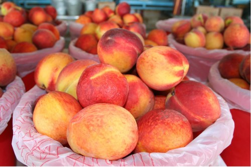 Baskets filled with ripe, red and yellow peaches arranged on a table in a market setting.