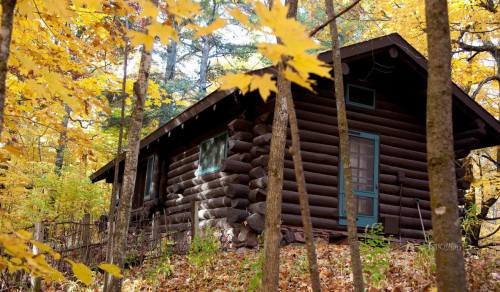 A rustic log cabin surrounded by vibrant autumn foliage and tall trees.