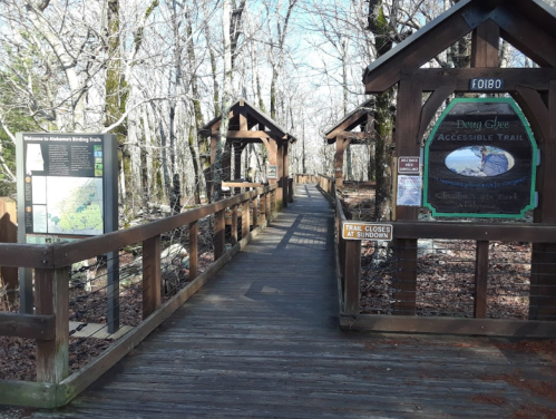 A wooden boardwalk leads through a forest, with signs for an accessible trail and park information visible.