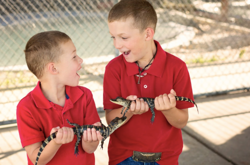 Two smiling boys in red shirts hold small alligators, enjoying a fun moment together.