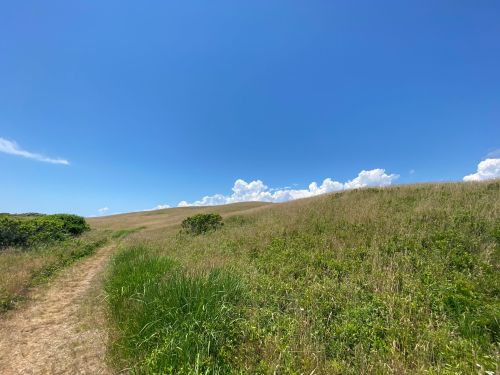 A grassy hillside under a clear blue sky with fluffy white clouds in the distance. A path winds through the landscape.