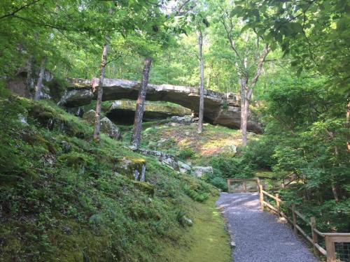 A scenic pathway leads to a natural stone arch surrounded by lush greenery and trees.