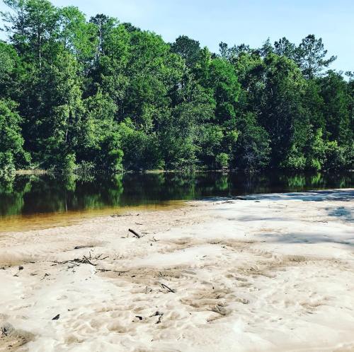 A sandy riverbank surrounded by lush green trees and calm water under a clear blue sky.