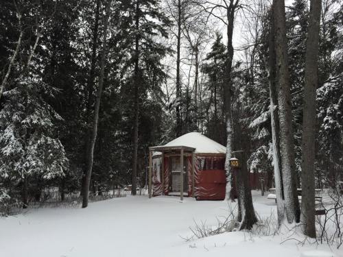 A cozy yurt surrounded by snow-covered trees in a winter landscape.