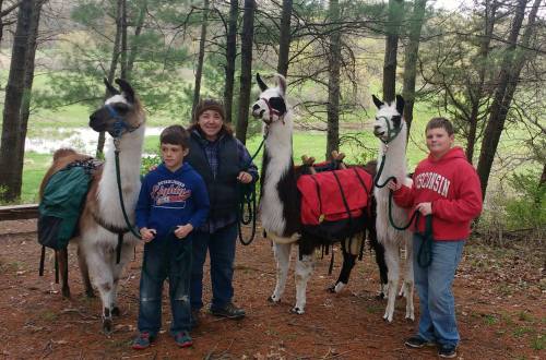A woman and two boys stand with three llamas in a forested area, each llama carrying a pack.