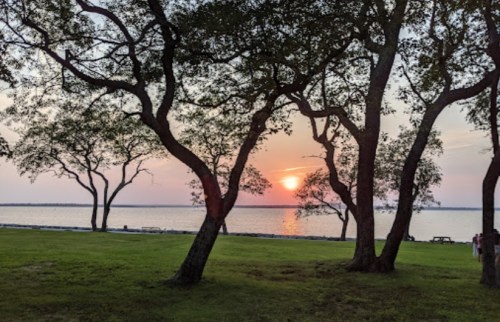Sunset over a calm lake, framed by trees, with a grassy area in the foreground.