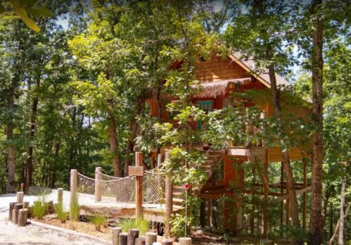 A wooden treehouse nestled among lush green trees, featuring a staircase and a rope bridge.