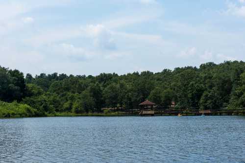 A serene lake surrounded by lush greenery, with a wooden gazebo and a clear blue sky above.