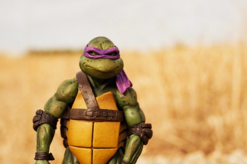 A green turtle action figure with a purple mask stands in a field of dry grass, looking confidently at the camera.