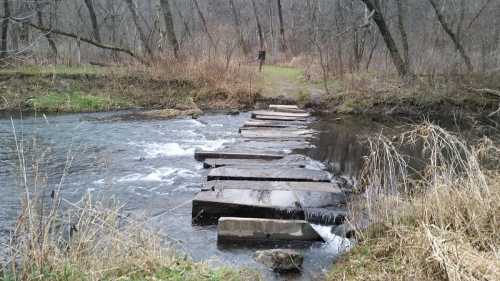 A rocky stream with stepping stones crossing it, surrounded by bare trees and grassy banks.