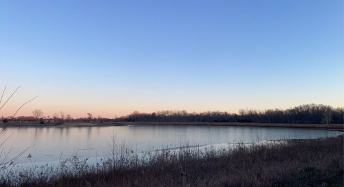 A serene lake at dusk, surrounded by trees and grasses, with a clear sky transitioning from blue to soft pink.