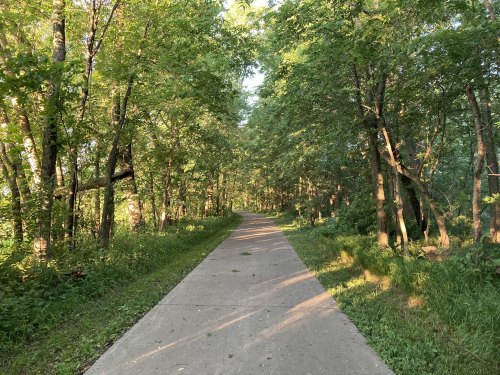 A serene, tree-lined path with sunlight filtering through the leaves, inviting a peaceful walk in nature.
