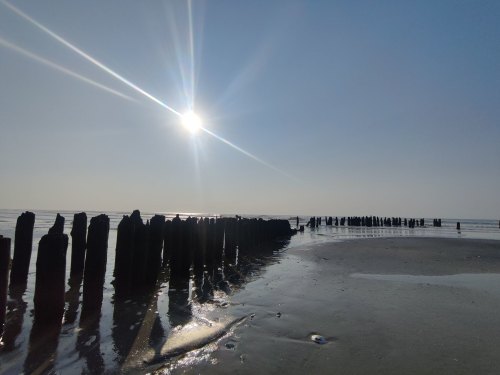 Sun shining over a calm beach with wooden posts emerging from the water, creating long shadows on the sand.