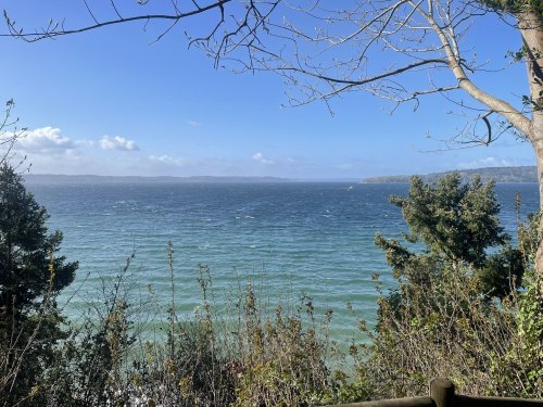 A serene view of a blue ocean with gentle waves, framed by trees under a clear sky with scattered clouds.