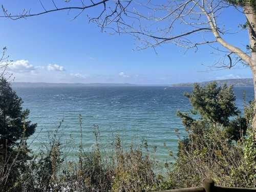 A serene view of a blue ocean with gentle waves, framed by trees under a clear sky with scattered clouds.