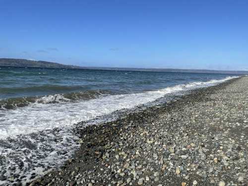 A rocky beach with gentle waves lapping at the shore under a clear blue sky.