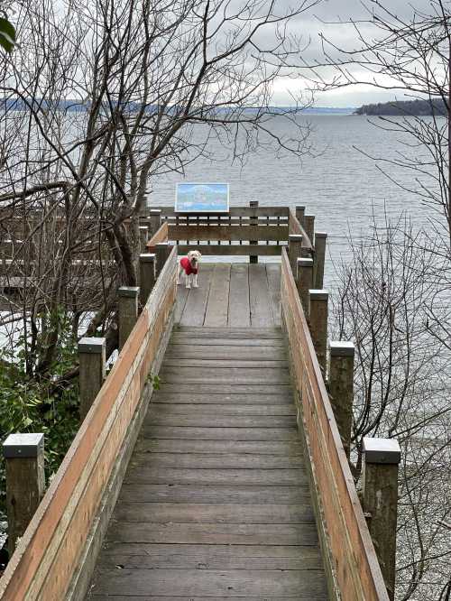 A wooden walkway leads to a scenic view of a lake, with a dog standing at the end and trees in the background.