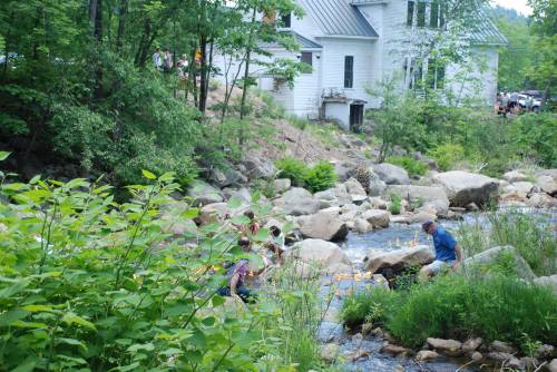 A stream flows past a white house, with people collecting rubber ducks among rocks and greenery.