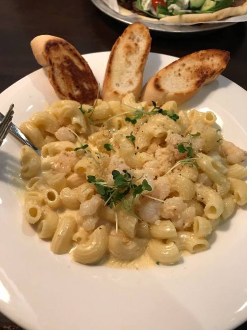 A plate of creamy macaroni pasta with shrimp, garnished with microgreens, and served with toasted bread slices.
