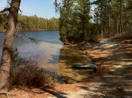 A serene lakeside scene with trees, a sandy shore, and calm water reflecting the blue sky.