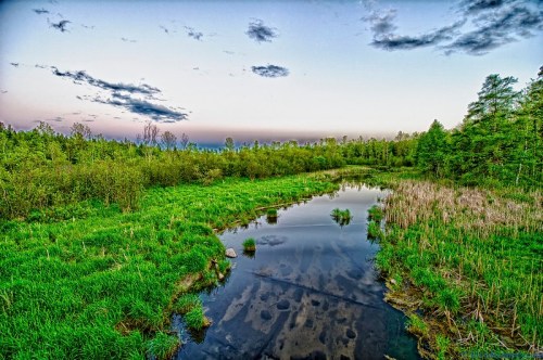 A serene landscape featuring a winding stream surrounded by lush greenery and a colorful sky at dusk.
